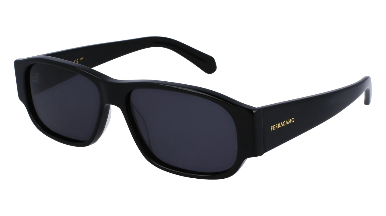 Salvatore Ferragamo SF1109S Sunglasses