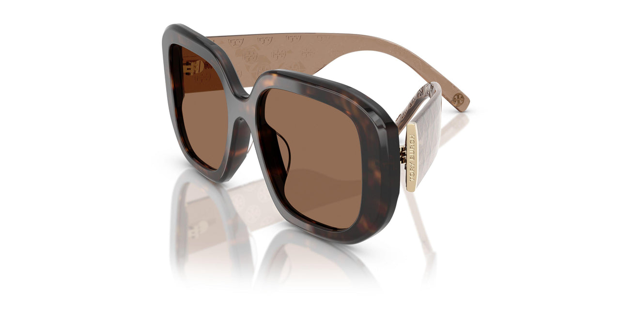196473 - Tortoise - Brown