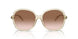 573613 - Brown - Brown Gradient