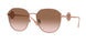 Versace 2259D Sunglasses