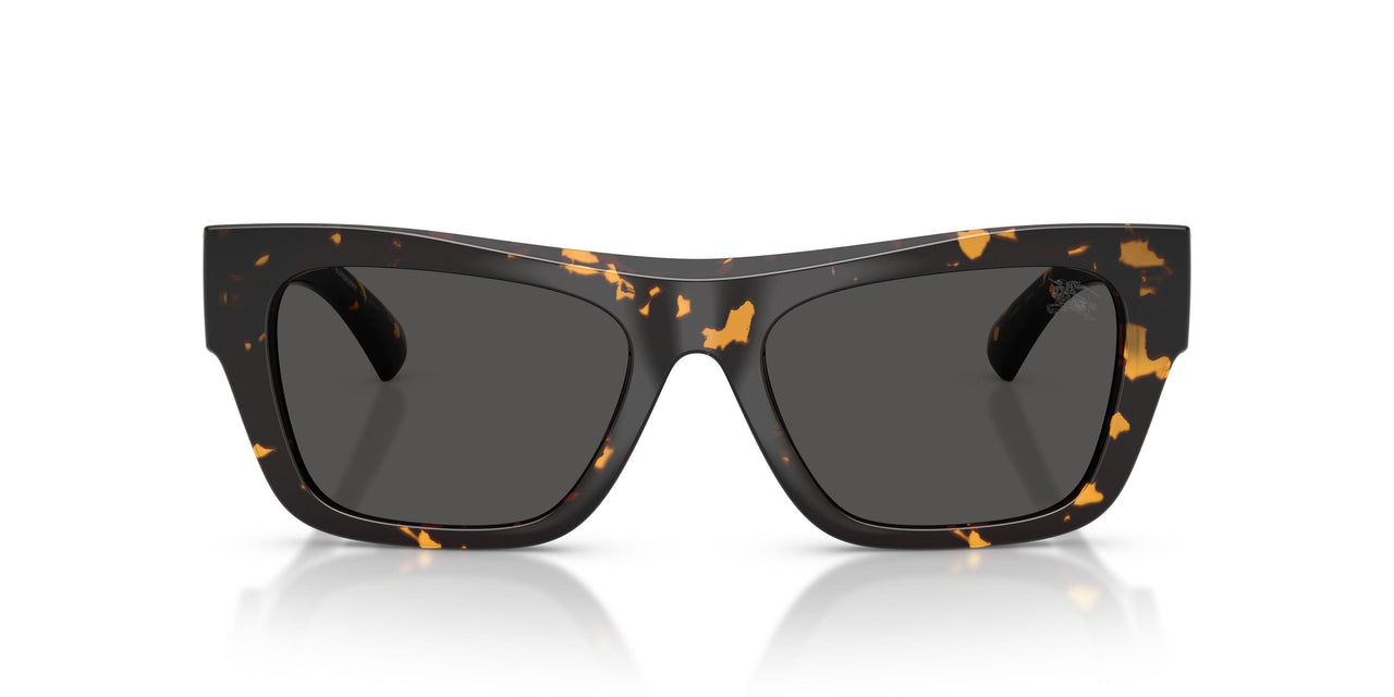410687 - Tortoise - Dark Grey