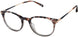 Barbour BAOW021 Eyeglasses