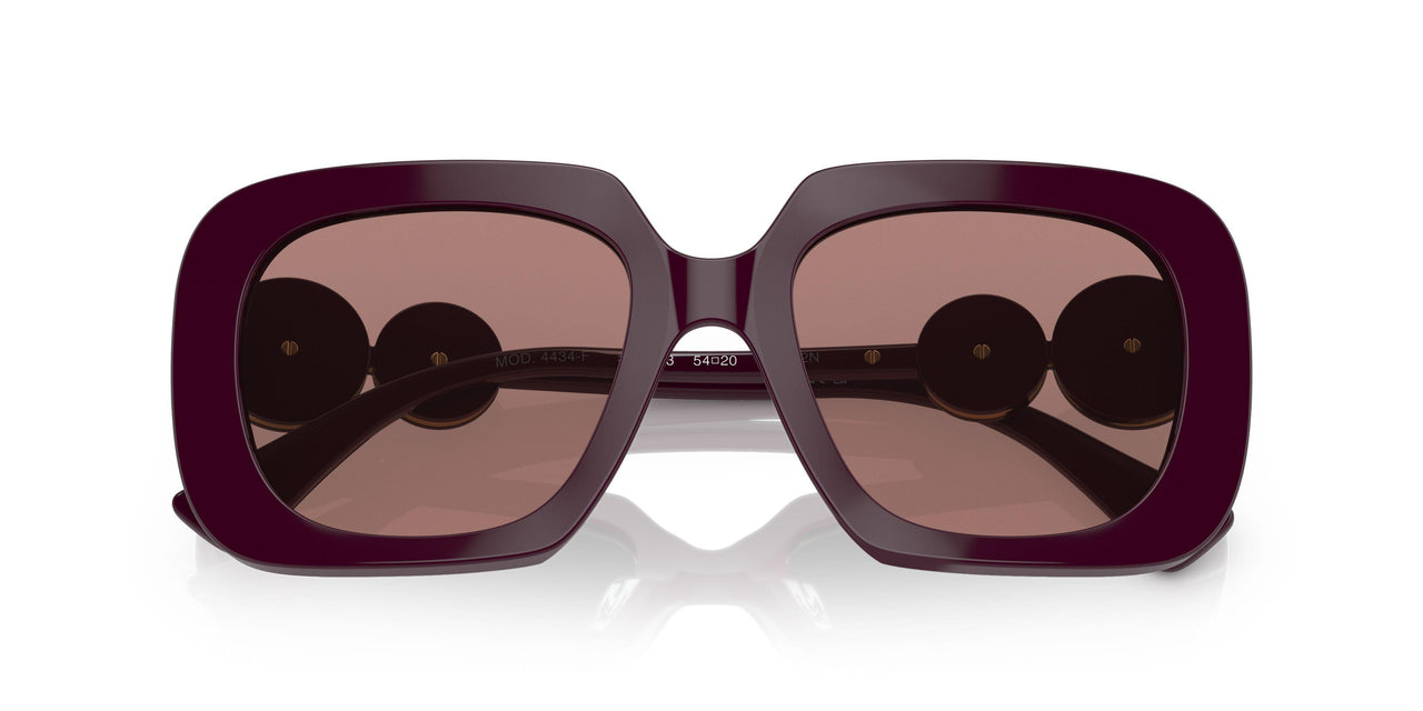 538273 - Bordeaux - Brown
