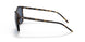 710/80 - Tortoise - Dark Blue