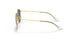 286/2V - Gold - Polar Dark Blue
