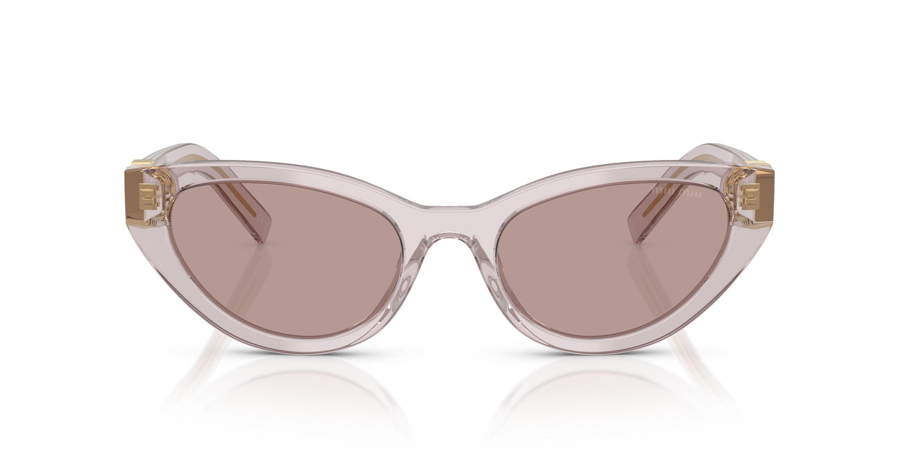 12W20I - Violet - Light Purple Brown