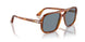 96/56 - Brown - Light Blue