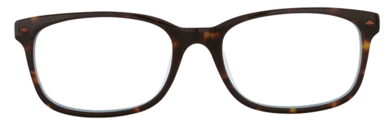 550 - Tort/lt. Blue