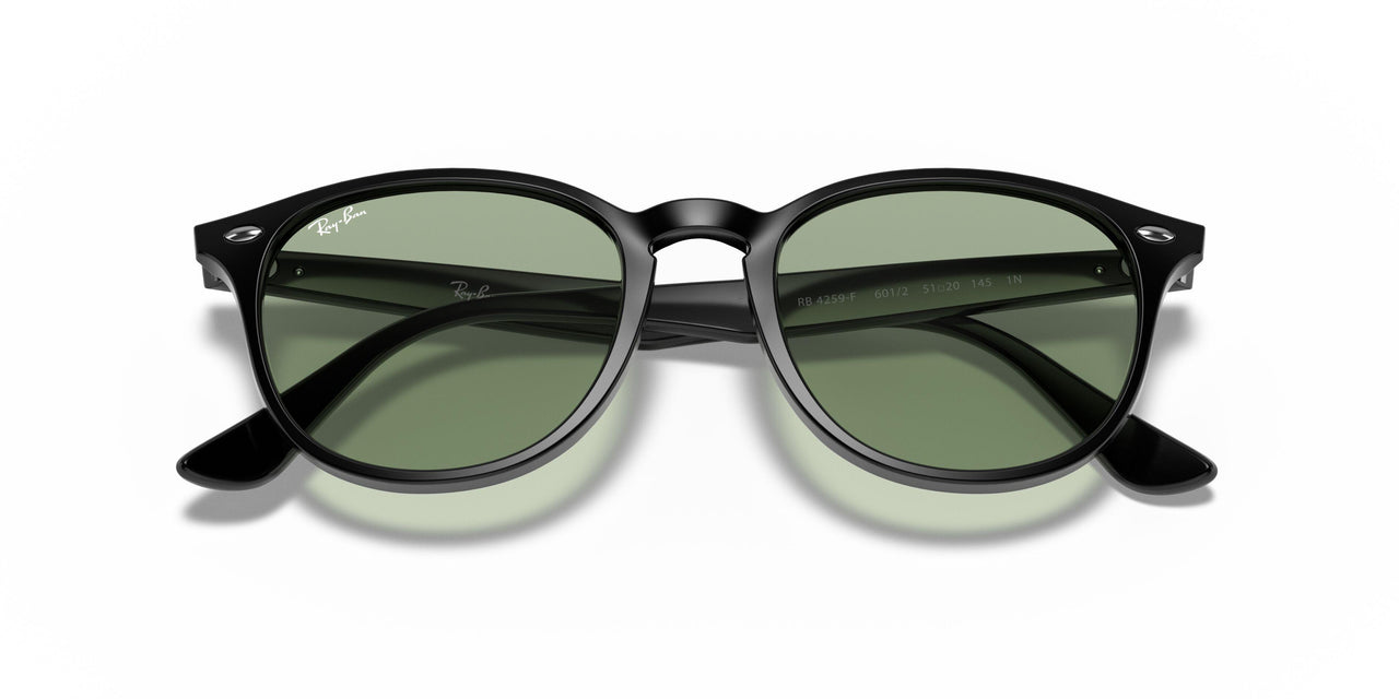 601/2 - Black - Light Green