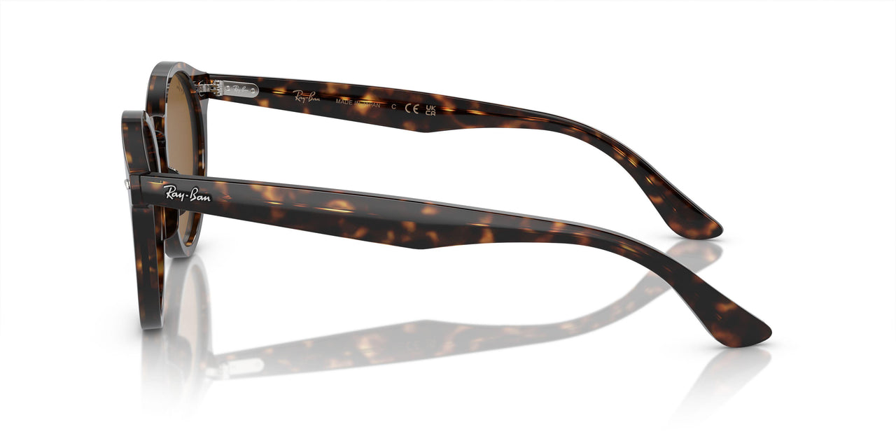 902/33 - Tortoise - Brown