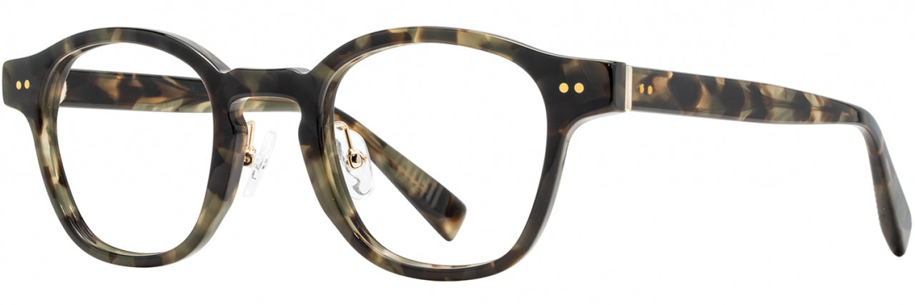 1 - Olive Tortoise