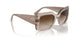 299013 - Brown - Gradient Brown