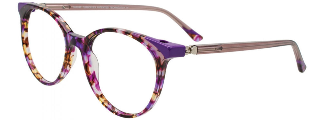 80 - Purple Tortoise & Purple