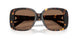 198173 - Tortoise - Brown