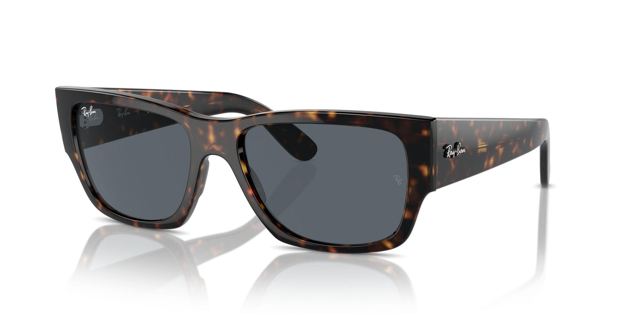 902/R5 - Tortoise - Blue