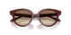 639913 - Violet - Brown Gradient