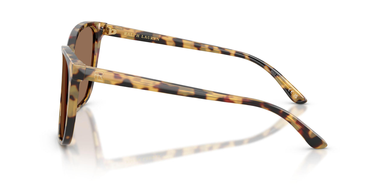 500473 - Brown - Brown