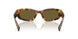 14L09Z - Tortoise - Dark Brown