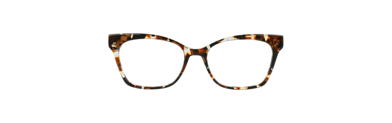 BTO - Black/Tortoise [BTO]