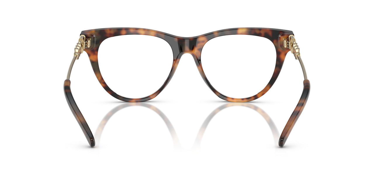 3904 - Tortoise