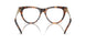 3904 - Tortoise
