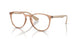 8339 - Brown - Clear