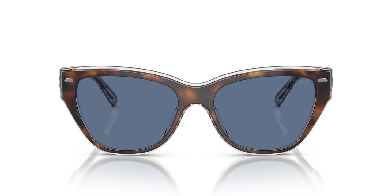 574280 - Tortoise - Blue Solid