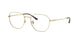 Ray-Ban 8777D Eyeglasses