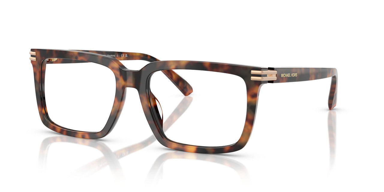3904 - Tortoise