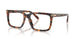 3904 - Tortoise