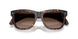 300213 - Tortoise - Gradient Brown