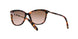 146114 - Pink - Brown Rose Gradient