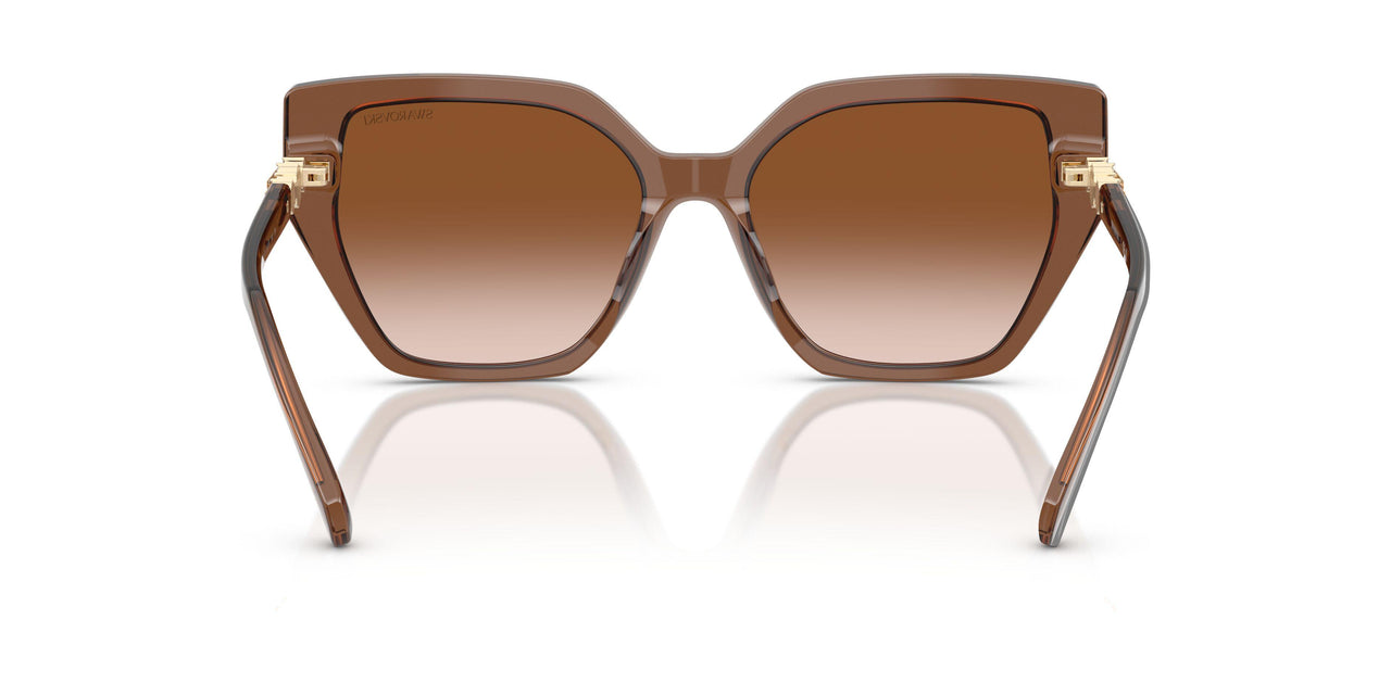106713 - Brown - Gradient Brown