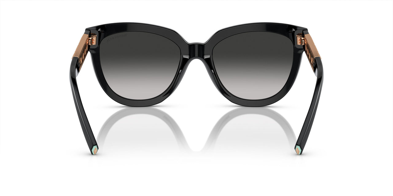 80013C - Black - Grey Gradient