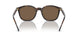 500373 - Brown - Brown