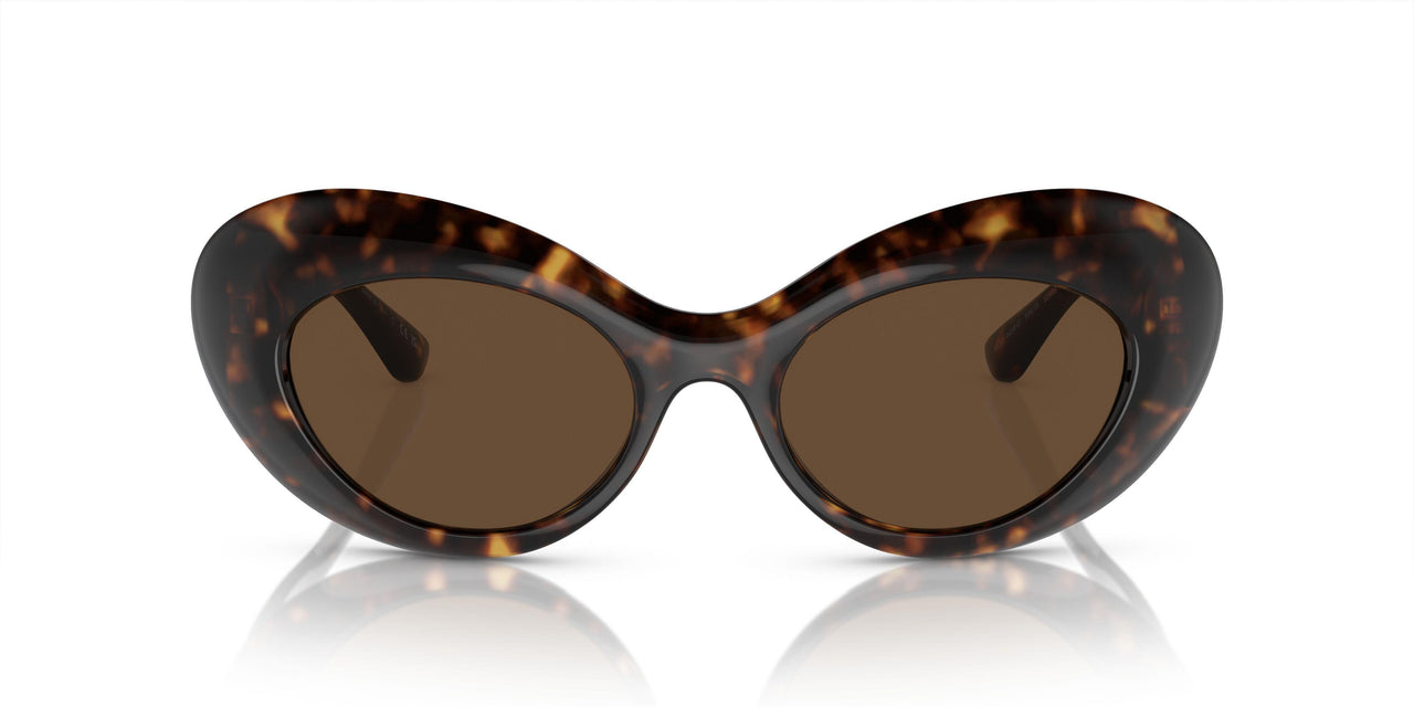 108/73 - Tortoise - Dark Brown