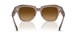 682785 - Brown - Gradient Brown