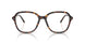 2012 - Tortoise