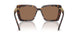100273 - Tortoise - Dark Brown