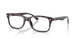 8424 - Havana Blue Turtle