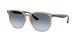 Ray-Ban 4306 Sunglasses