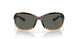 911404 - Tortoise - Gray