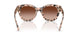 508013 - Tortoise - Gradient Brown
