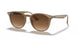 616613 - Light Brown - Brown Gradient