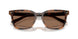 616173 - Tortoise - Solid Brown