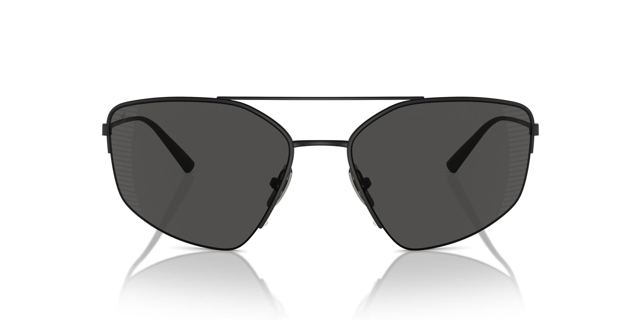 301/81 - Black - Polarized Grey