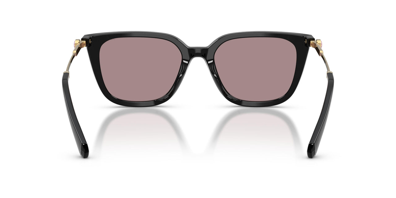 1001LA - Black - Violet