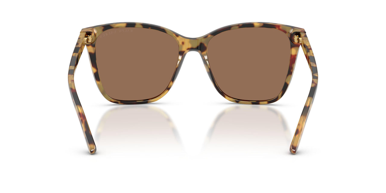 500473 - Brown - Brown