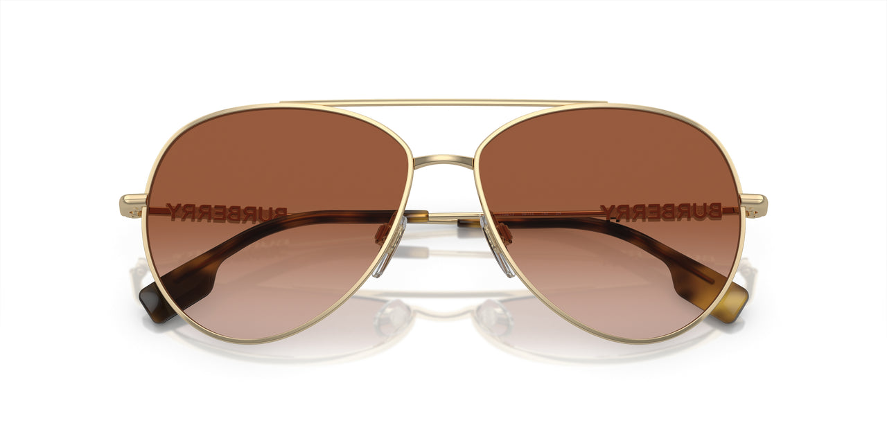 110913 - Gold - Brown Gradient