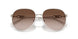 123313 - Gold - Brown Gradient